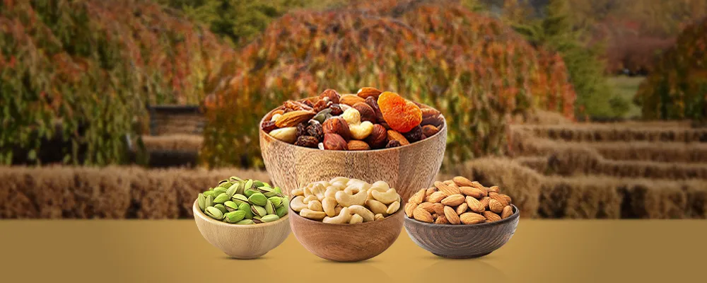 dry-fruits Banner