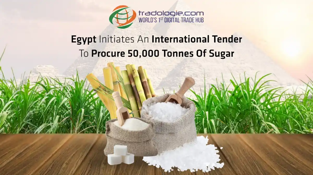 Egypt Initiates An International Tender To Procure 50,000 Tonnes Of Sugar