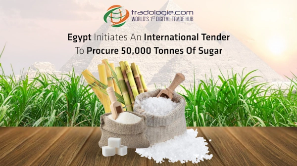 Egypt Initiates An International Tender To Procure 50,000 Tonnes Of Sugar