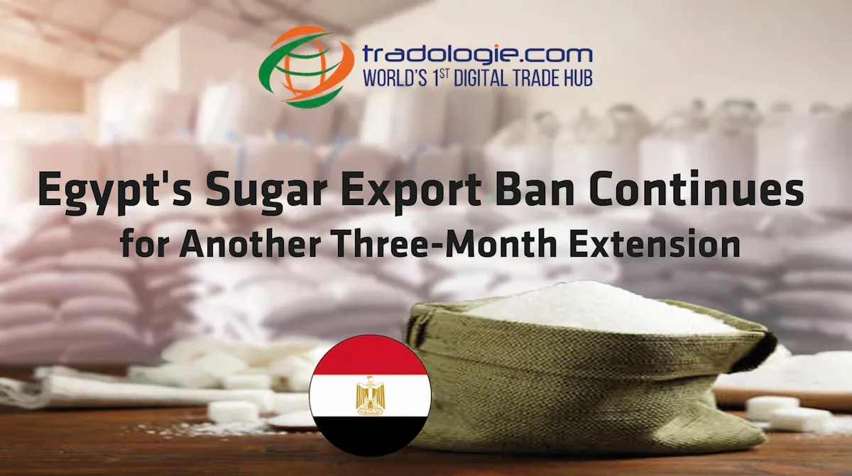 Egypt Sugar Export Ban Continues for Another Three-Month Extension Egypt Sugar Export Ban Continues for Another Three-Month Extension