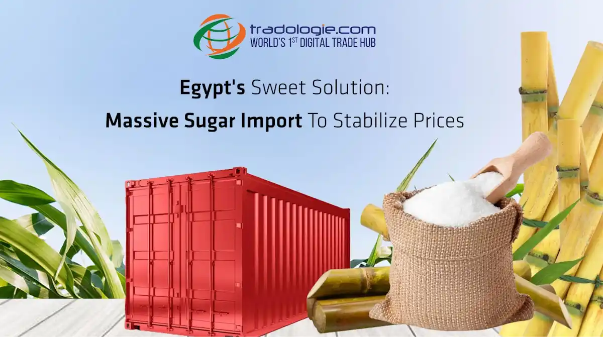 Egypt's Sweet Solution: Massive Sugar Import To Stabilize Prices