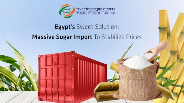 Egypt's Sweet Solution: Massive Sugar Import To Stabilize Prices