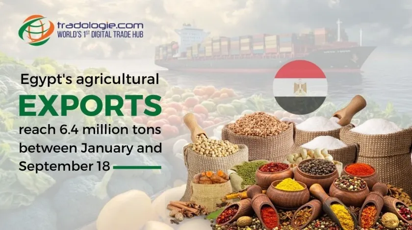 Egypt's Agricultural Exports Reach 6.4 Million Tons Between January and September 18
