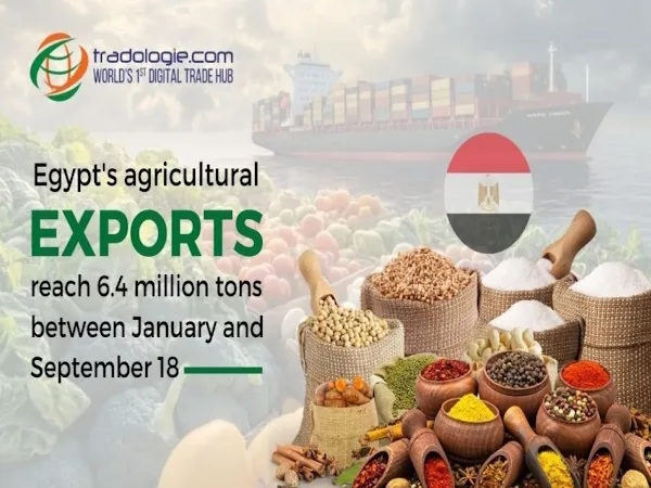 Egypt's Agricultural Exports Reach 6.4 Million Tons Between January and September 18