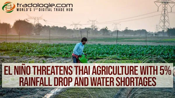 El Niño Threatens Thai Agriculture With 5% Rainfall Drop And Water Shortages