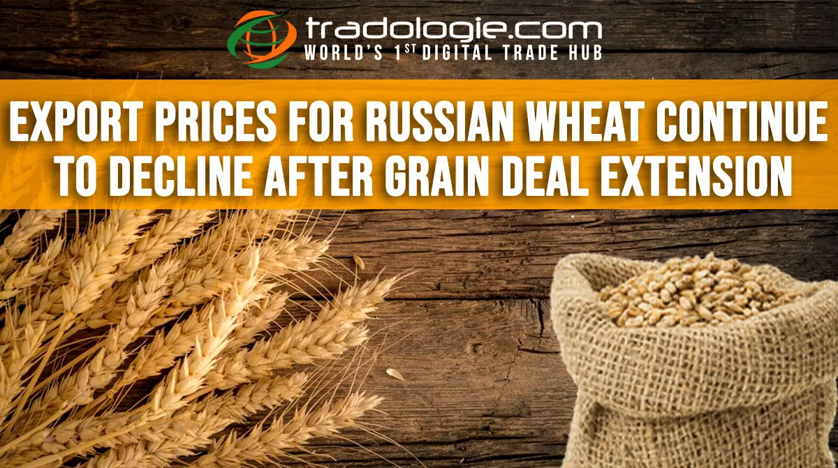 Export Prices For Russian Wheat Continue To Decline After Grain Deal Extension