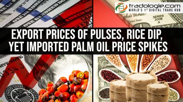 Export Prices Of Pulses, Rice Dip, Yet Imported Palm Oil Price Spikes