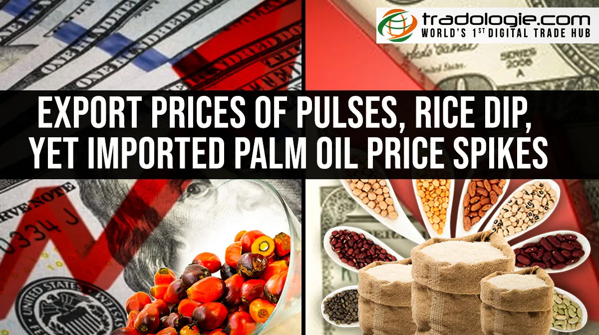 Export Prices Of Pulses, Rice Dip, Yet Imported Palm Oil Price Spikes Export Prices Of Pulses, Rice Dip, Yet Imported Palm Oil Price Spikes