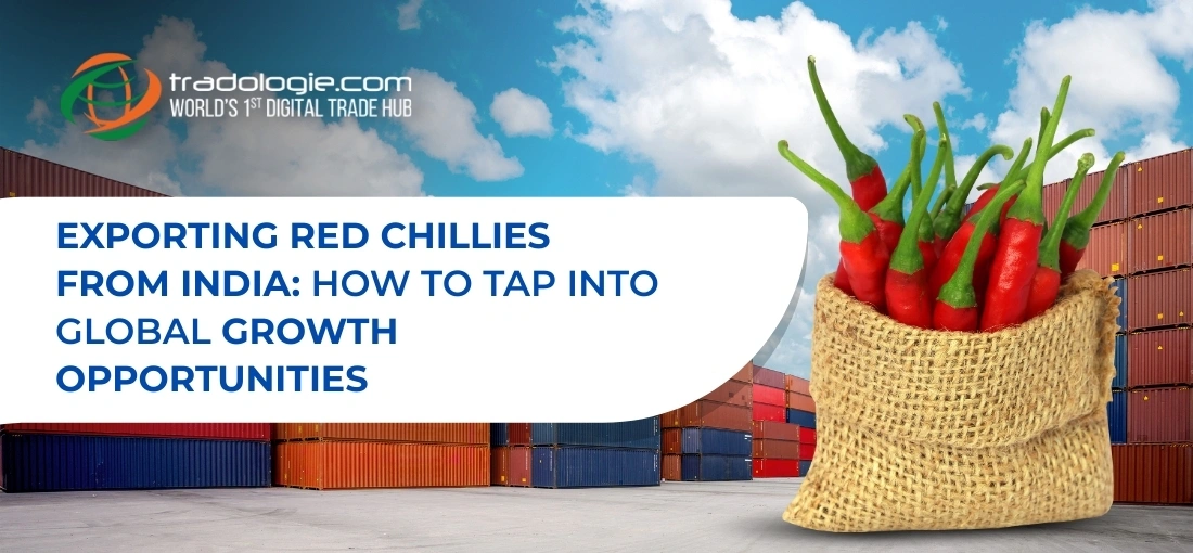 Exporting Red Chillies from India: How to Tap into Global Growth Opportunities