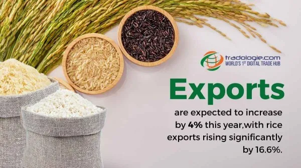 Exports Are Expected To Increase