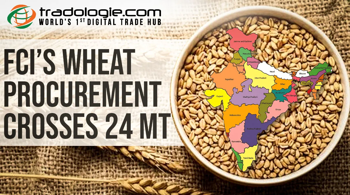 FCI Wheat Procurement Crosses 24 MT, Surpassing The Cereal Stock Threshold Necessary For India Food Security Requirements