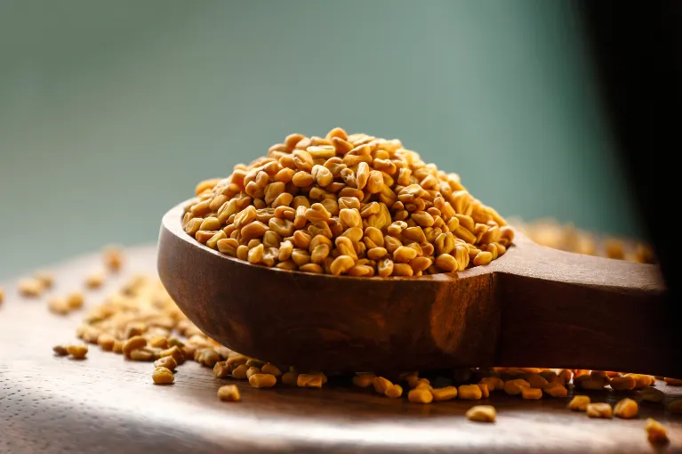 Fenugreek Seeds