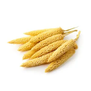 Finger Millet
