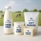 Dairy Products