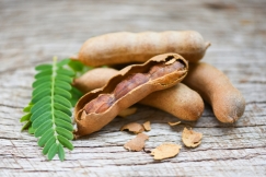 Tamarind Pods