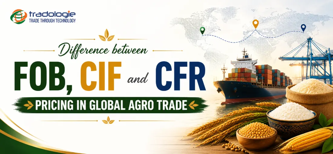 Difference Between FOB, CIF and CFR Pricing in Global Agro Trade