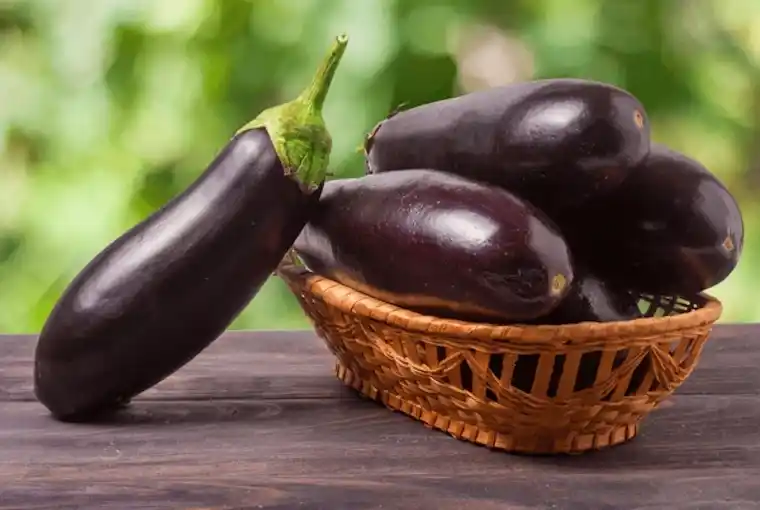 FRESH BRINJAL
