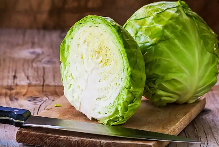 FRESH CABBAGE
