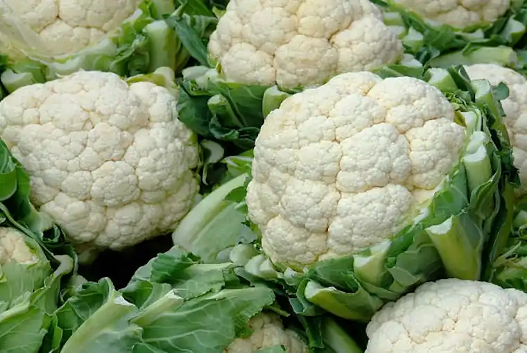 FRESH CAULIFLOWER