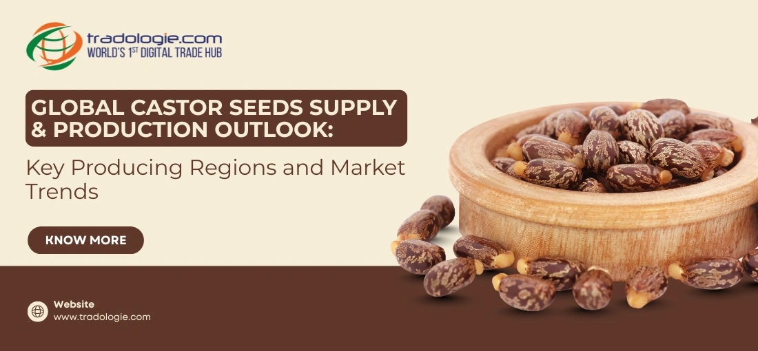 Global Castor Seeds Supply & Production Outlook: Key Producing Regions and Market Trends