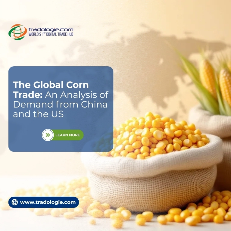 Global Corn Trade Analysis: How China’s Imports and U.S. Exports Shape the Market