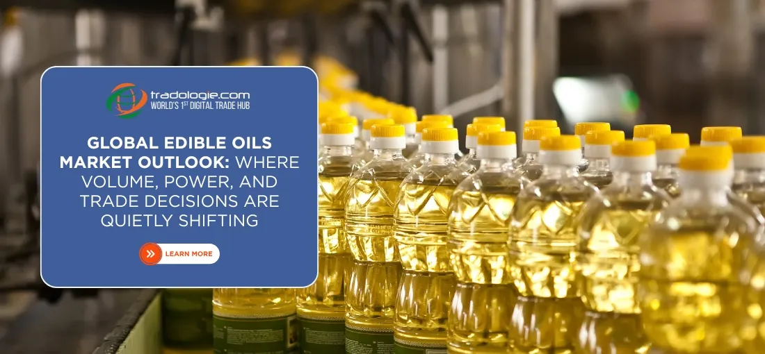 Global Edible Oils Market Outlook: Where Volume, Power, and Trade Decisions Are Quietly Shifting