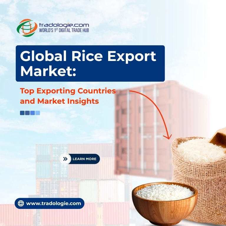 Global Rice Export Market: Top Exporting Countries and Market Insights