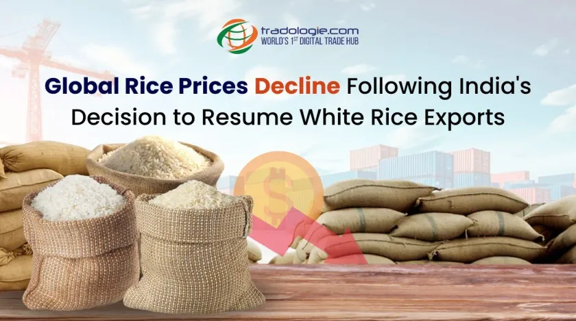 Global Rice Prices Decline Following India's Decision to Resume White Rice Exports