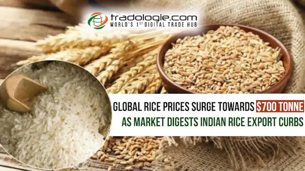 Global Rice Prices Surge toward $700 Tonne as the Market Digests Indian Rice Export Curbs