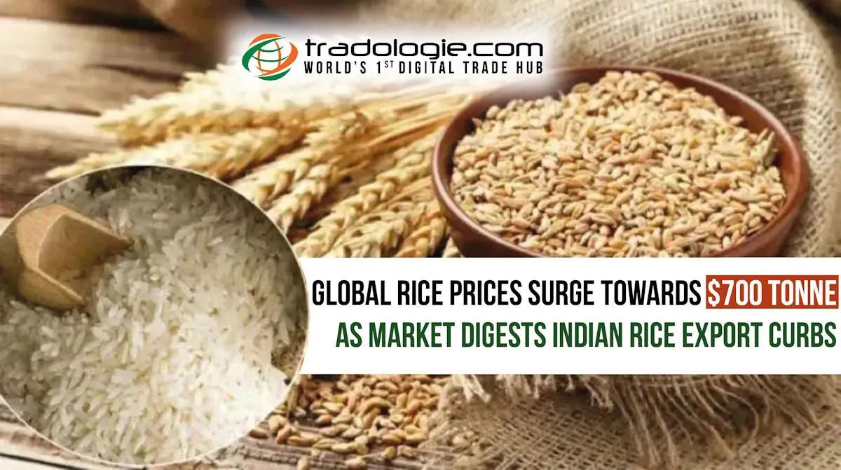 Global Rice Prices Surge toward $700 Tonne as the Market Digests Indian Rice Export Curbs