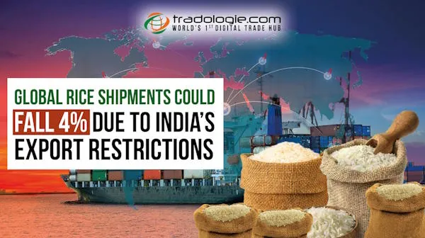 Global rice shipments could fall 4% due to India’s export restrictions