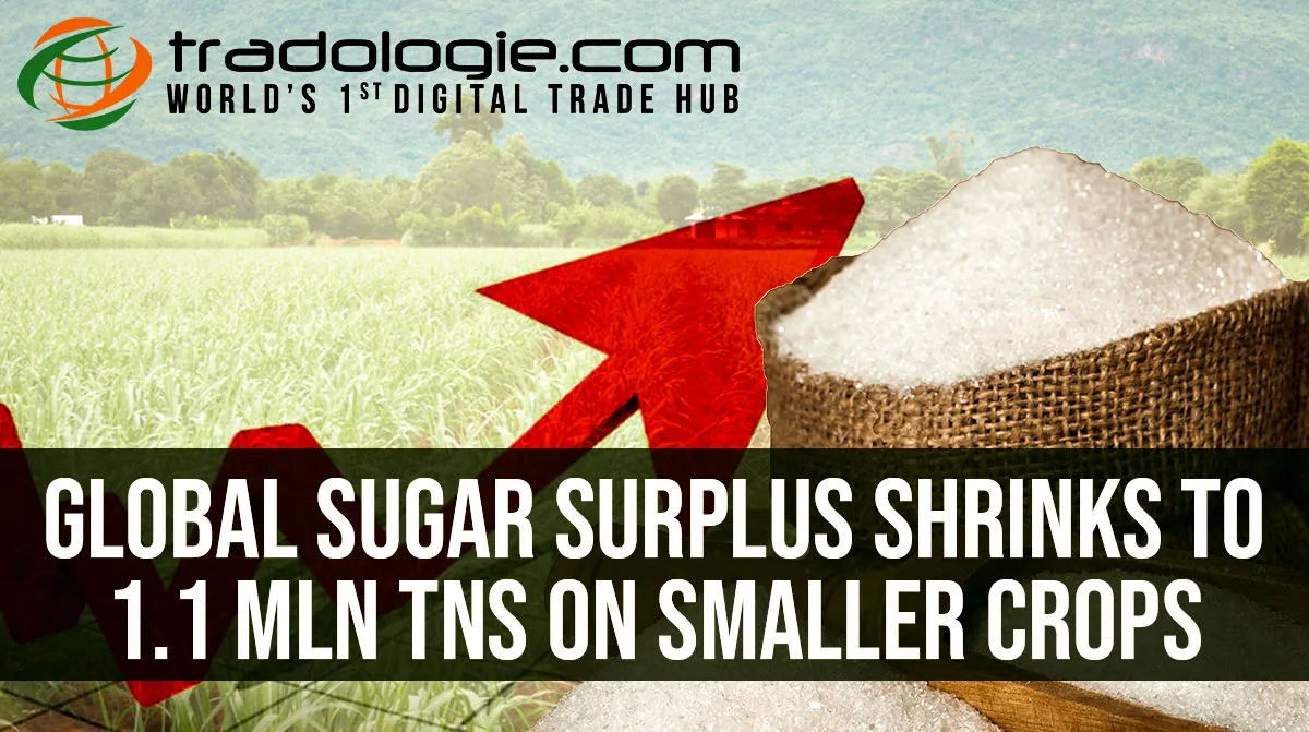 Global sugar surplus shrinks to 1.1 mln tns on smaller crops Global sugar surplus shrinks to 1.1 mln tns on smaller crops