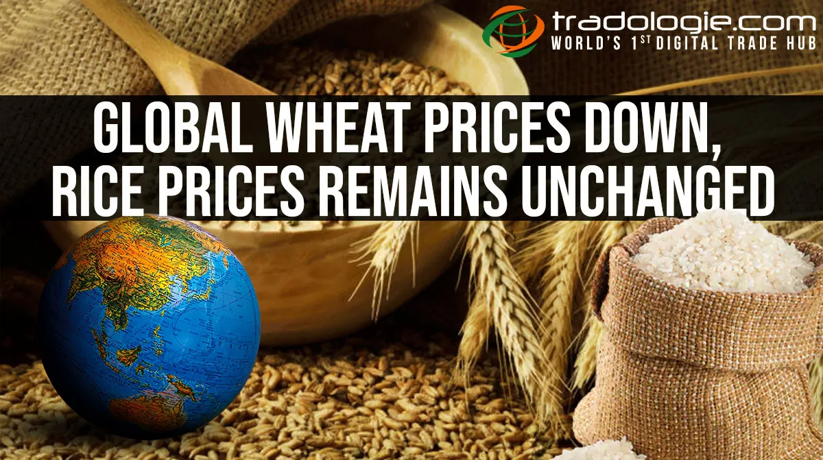 Global Wheat Prices Down, and Rice Prices Remains Unchanged
