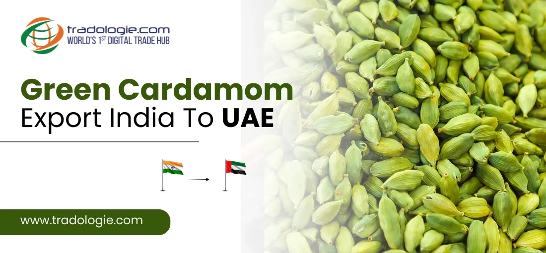 How to Export Green Cardamom from India to the UAE