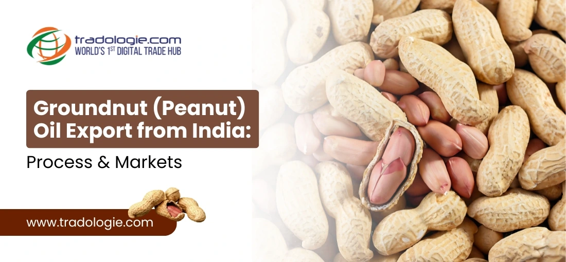 Groundnut Oil Export from India: Process & Markets
