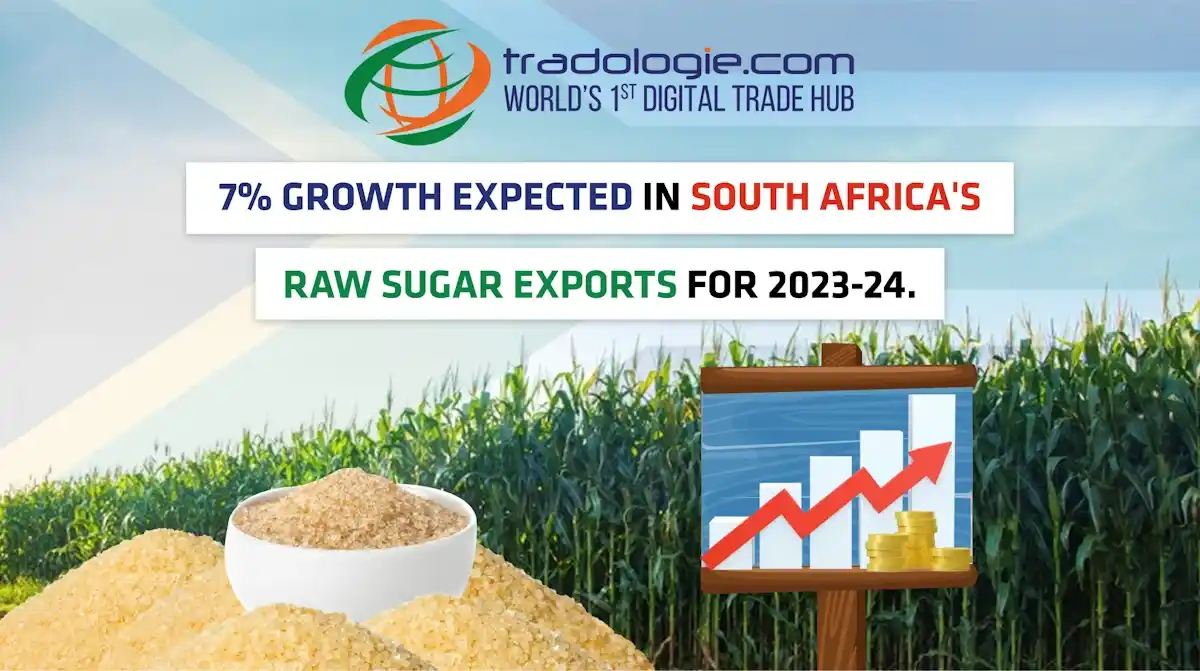 7% Growth Expected in South Africa's Raw Sugar Exports for 2023-24