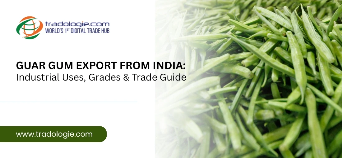 Guar Gum Export from India