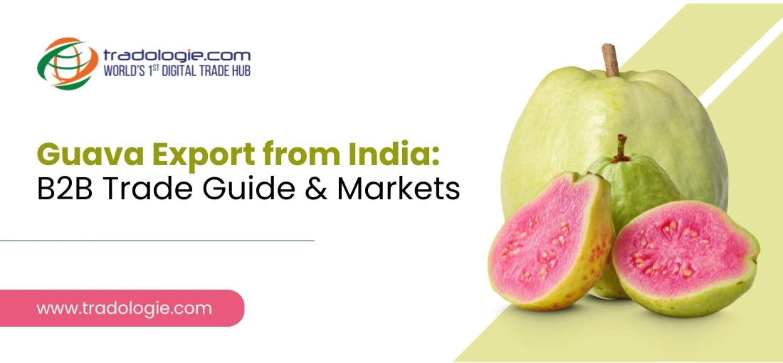 Guava Export from India