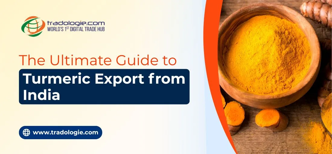 The Ultimate Guide to Turmeric Export from India The Ultimate Guide to Turmeric Export from India