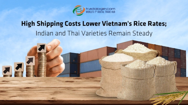 High Shipping Costs Lower Vietnam's Rice Rates; Indian and Thai Varieties Remain Steady