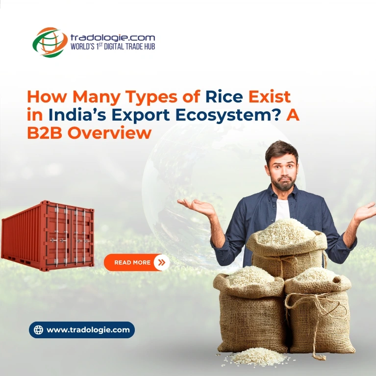 How Many Types of Rice Exist in India’s Export Ecosystem? A B2B Overview