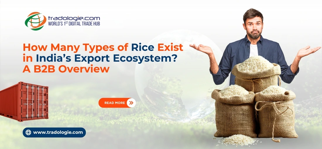 How Many Types of Rice Exist in India’s Export Ecosystem? A B2B Overview