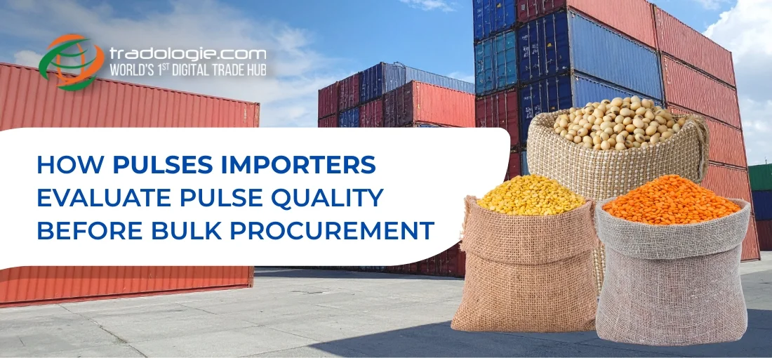How Pulses Importers Evaluate Pulse Quality Before Bulk Procurement