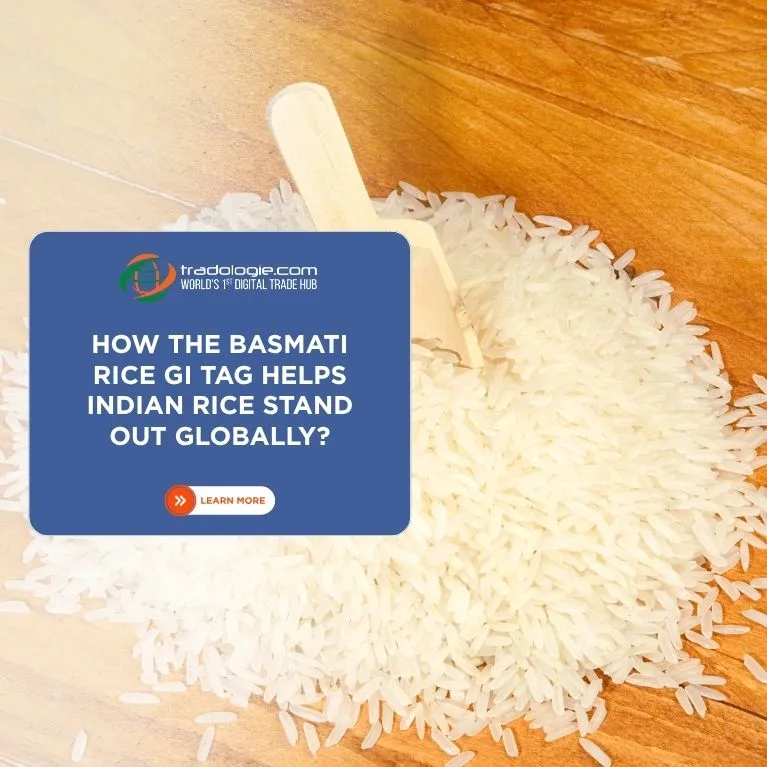 How the Basmati Rice GI Tag Helps Indian Rice Stand Out Globally