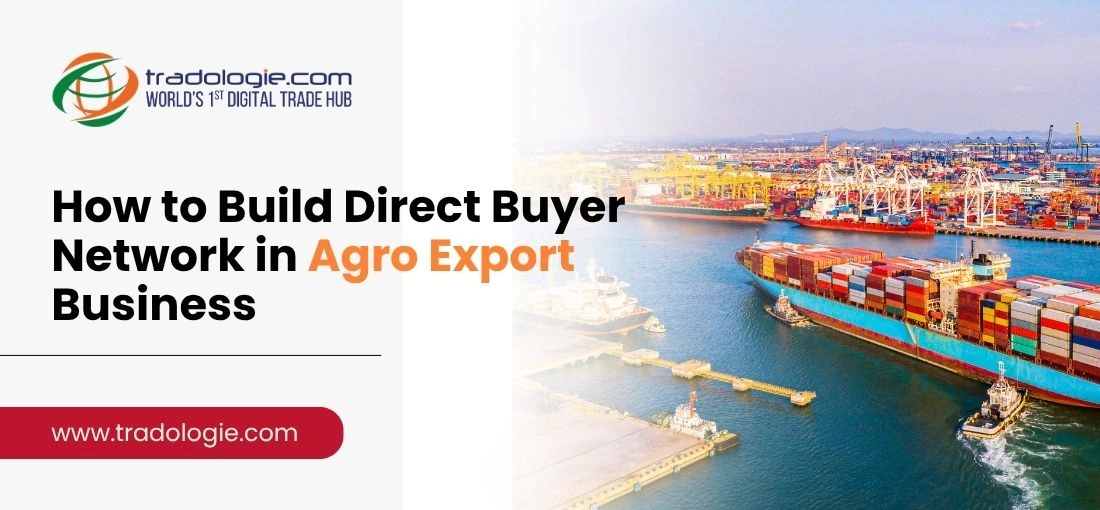 how-to-build-direct-buyer-network-in-agro-export-business
