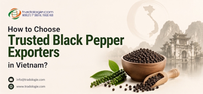 How to Choose Trusted Black Pepper Exporters in Vietnam
