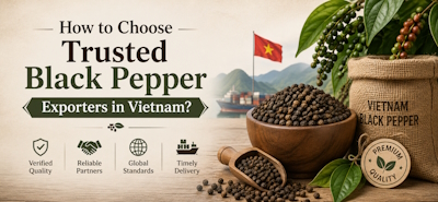 How to Choose Trusted Black Pepper Exporters in Vietnam