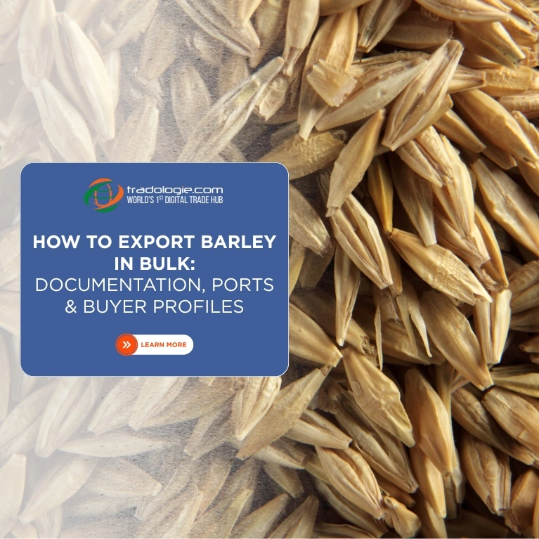 How to Export Barley in Bulk: Documentation, Ports & Buyer Profiles