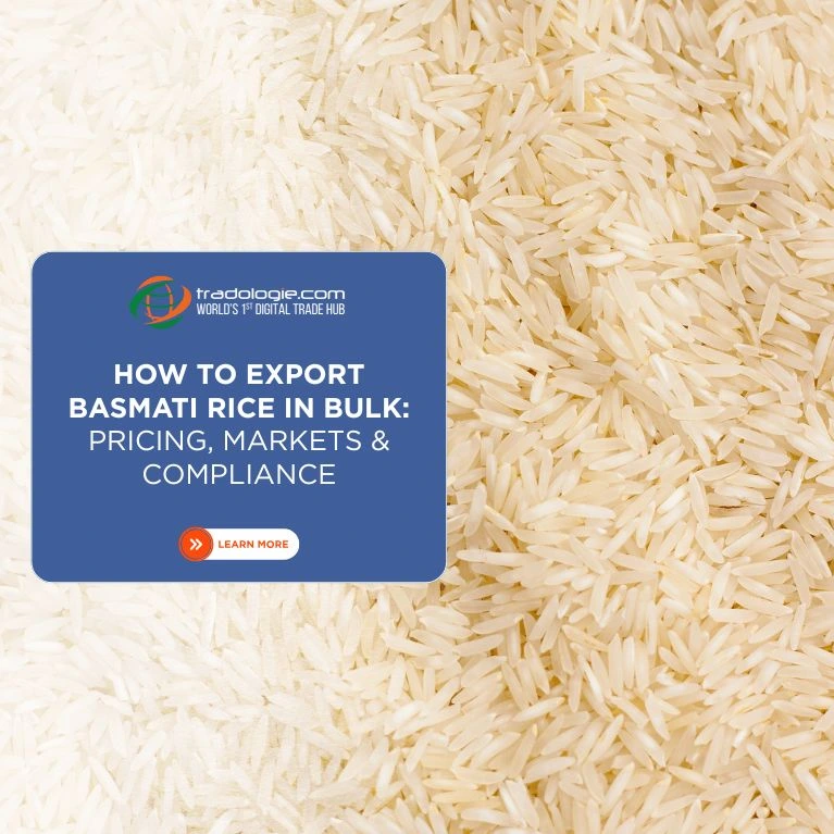 How to Export Basmati Rice in Bulk: Pricing, Markets & Compliance