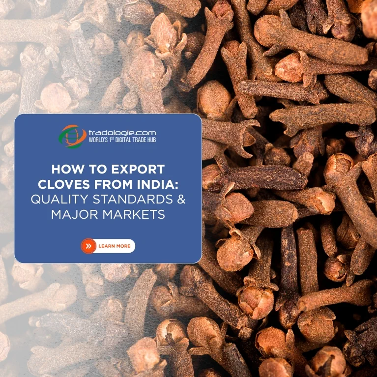 How to Export Cloves from India: Quality Standards and Major Markets (2025 Guide)
